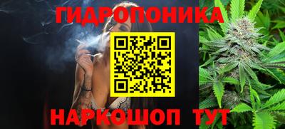 прущие крисы Волжск