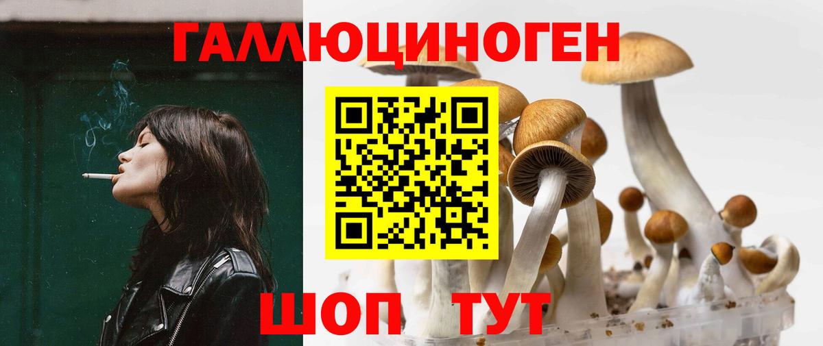 Галлюциногенные грибы Magic Shrooms Самара